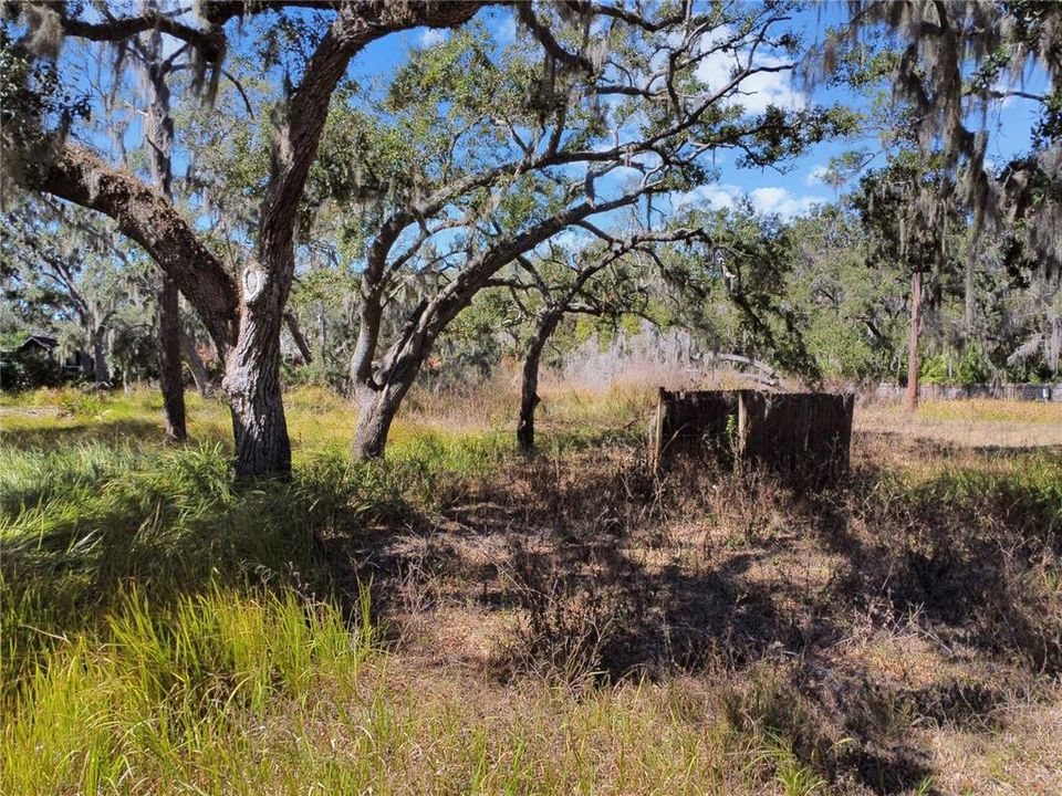 For Sale: $179,900 (1.17 acres)