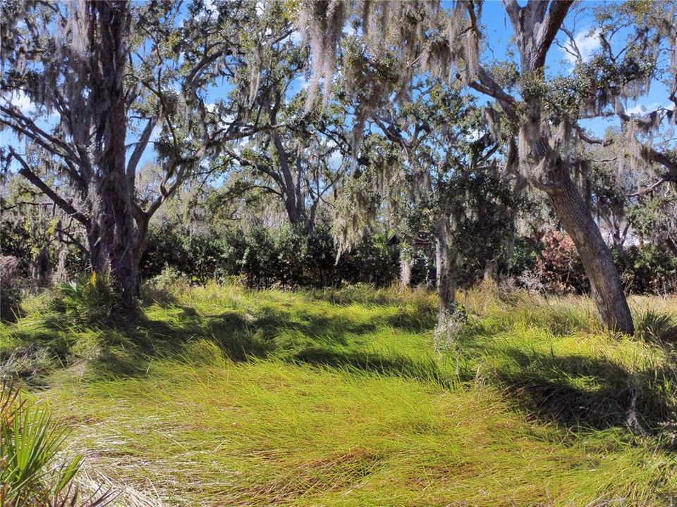 For Sale: $179,900 (1.17 acres)