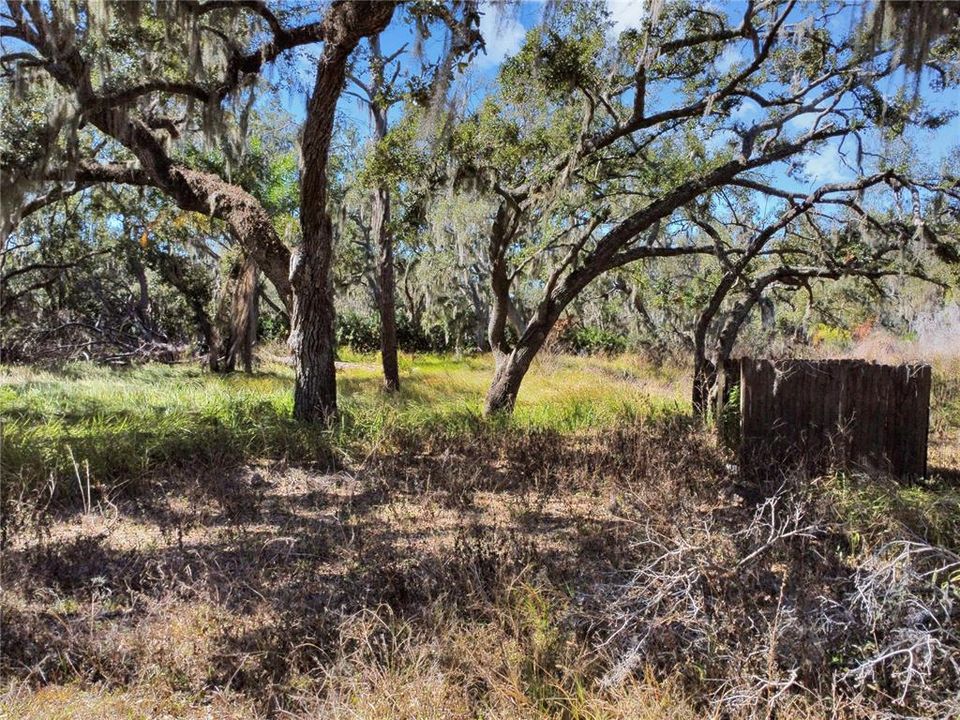 For Sale: $179,900 (1.17 acres)