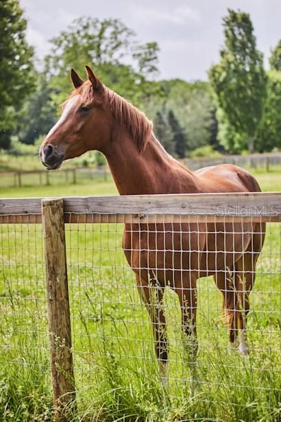На продажу: $599,900 (5 спален, 4 ванн, 3802 Квадратных фут)