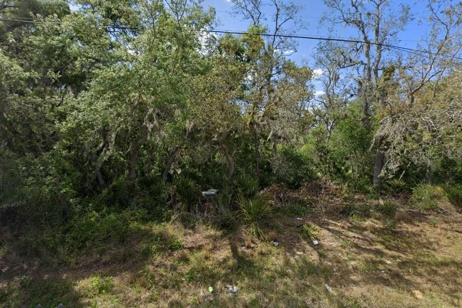 For Sale: $29,900 (0.19 acres)