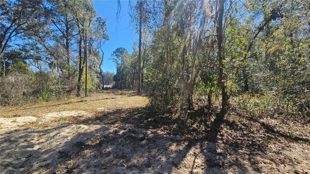 For Sale: $285,000 (3 beds, 1 baths, 1176 Square Feet)