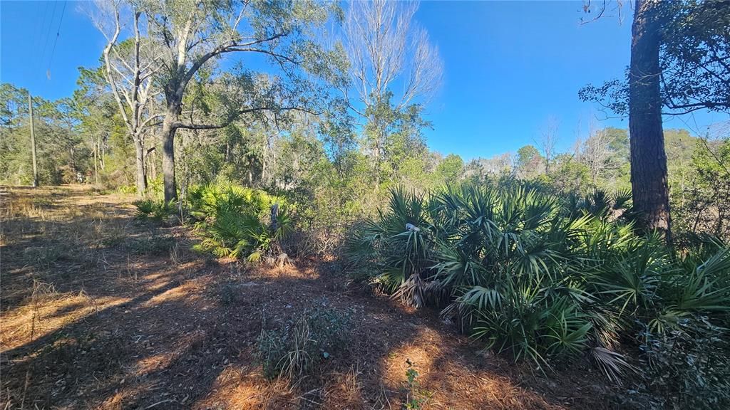 For Sale: $285,000 (3 beds, 1 baths, 1176 Square Feet)