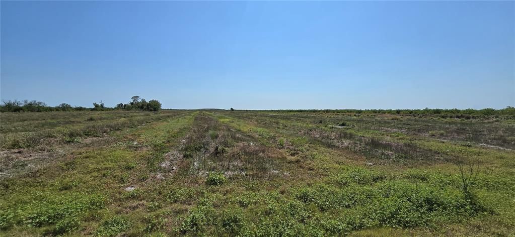 Recently Sold: $125,000 (10.00 acres)