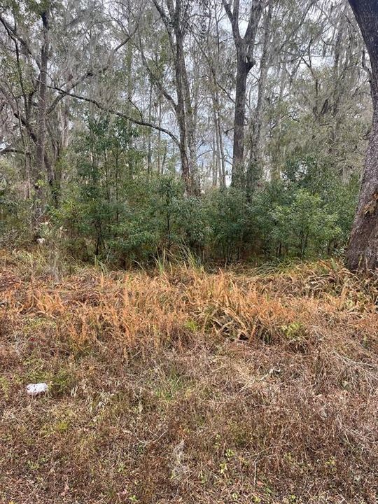 En Venta: $26,990 (0.19 acres)