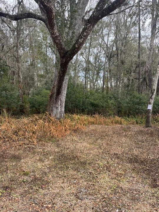 En Venta: $26,990 (0.19 acres)