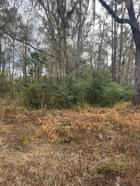 En Venta: $26,990 (0.19 acres)