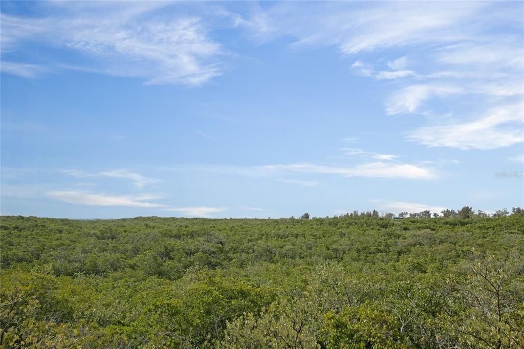 For Sale: $499,999 (2 beds, 2 baths, 980 Square Feet)