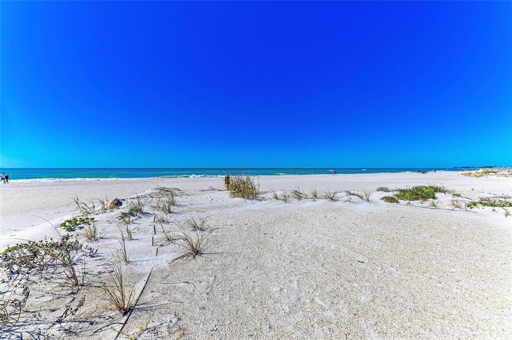 For Sale: $4,200,000 (8 beds, 0 baths, 3503 Square Feet)