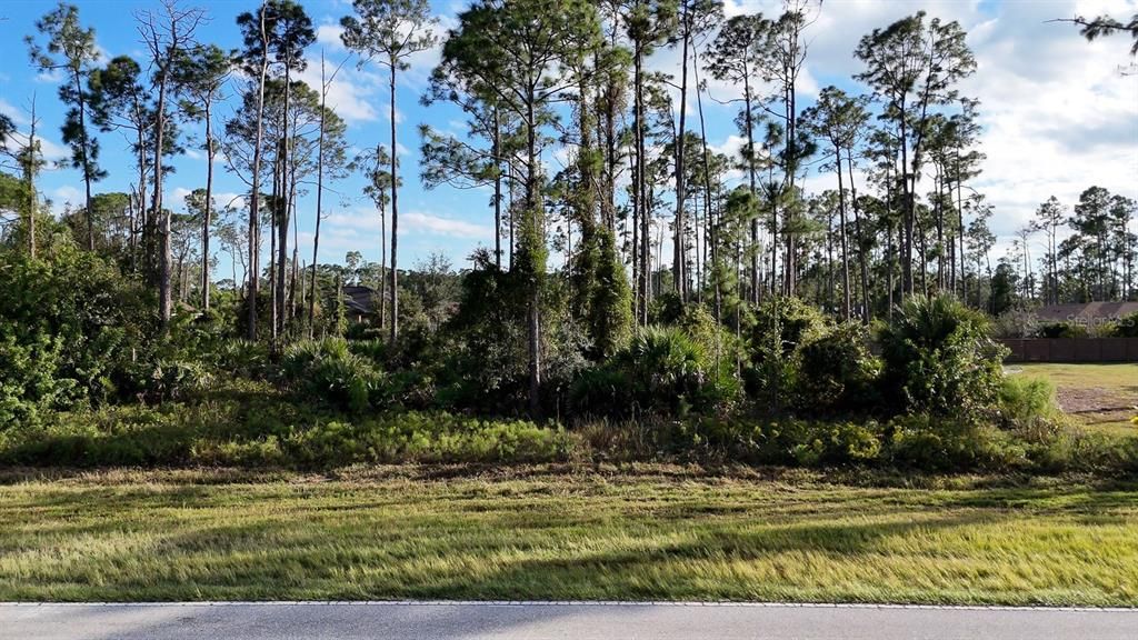 На продажу: $79,900 (0.46 acres)