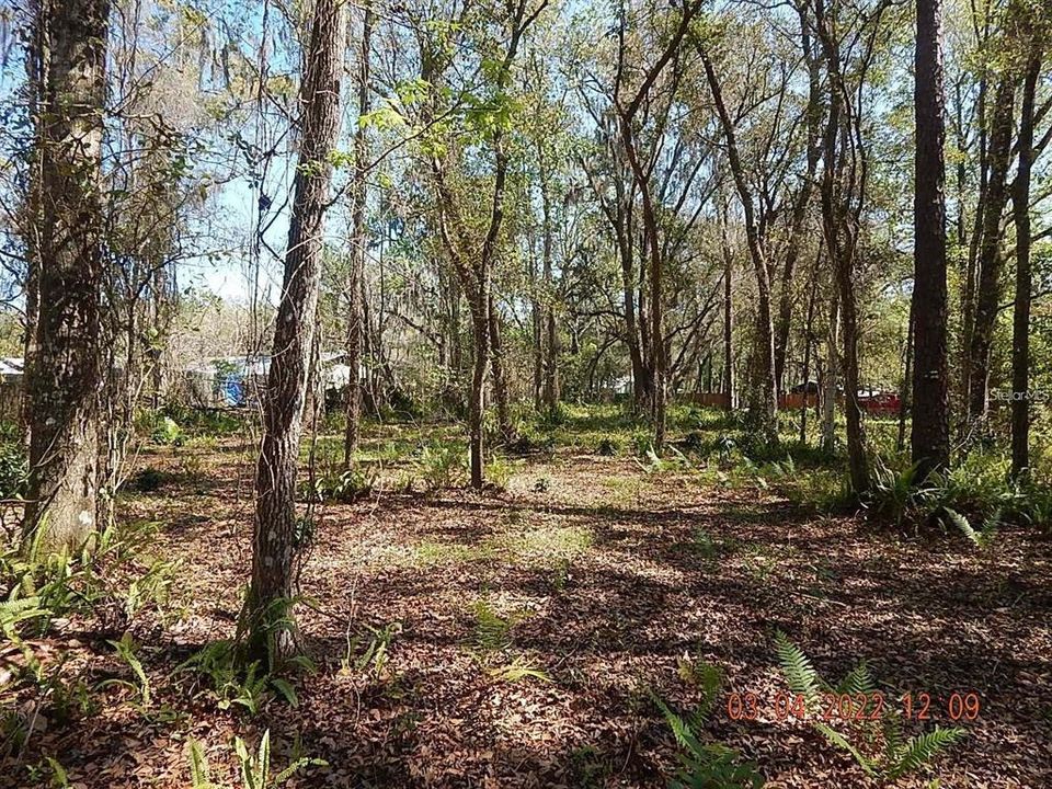 En Venta: $99,900 (1.03 acres)