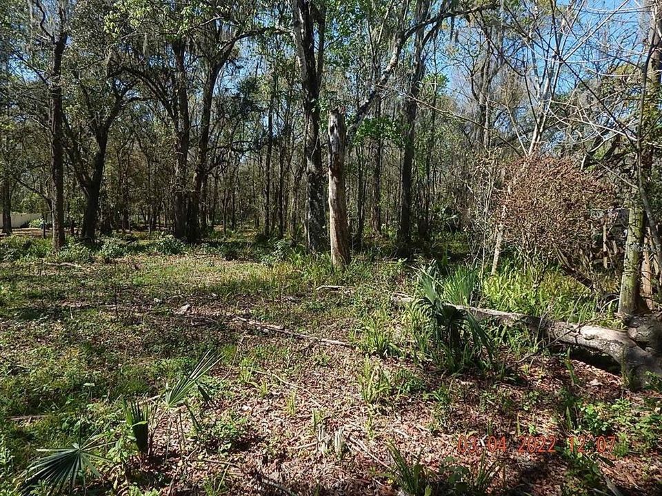 En Venta: $99,900 (1.03 acres)