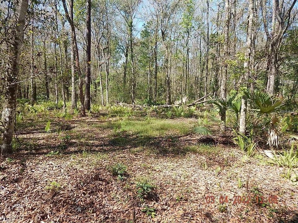 En Venta: $99,900 (1.03 acres)