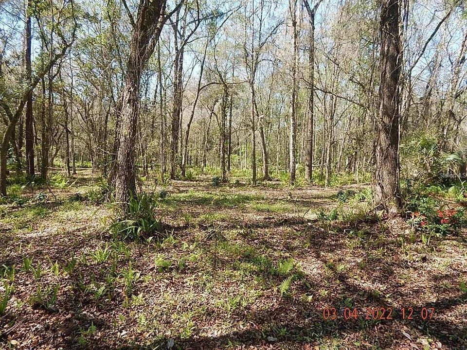 En Venta: $99,900 (1.03 acres)