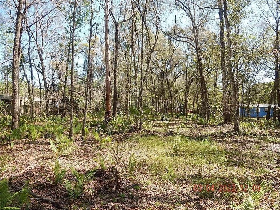 En Venta: $99,900 (1.03 acres)