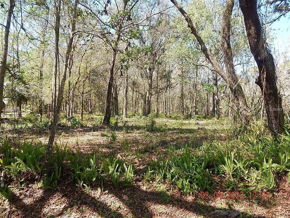 En Venta: $99,900 (1.03 acres)