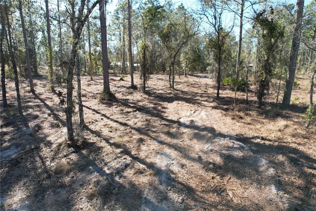 For Sale: $27,995 (1.25 acres)