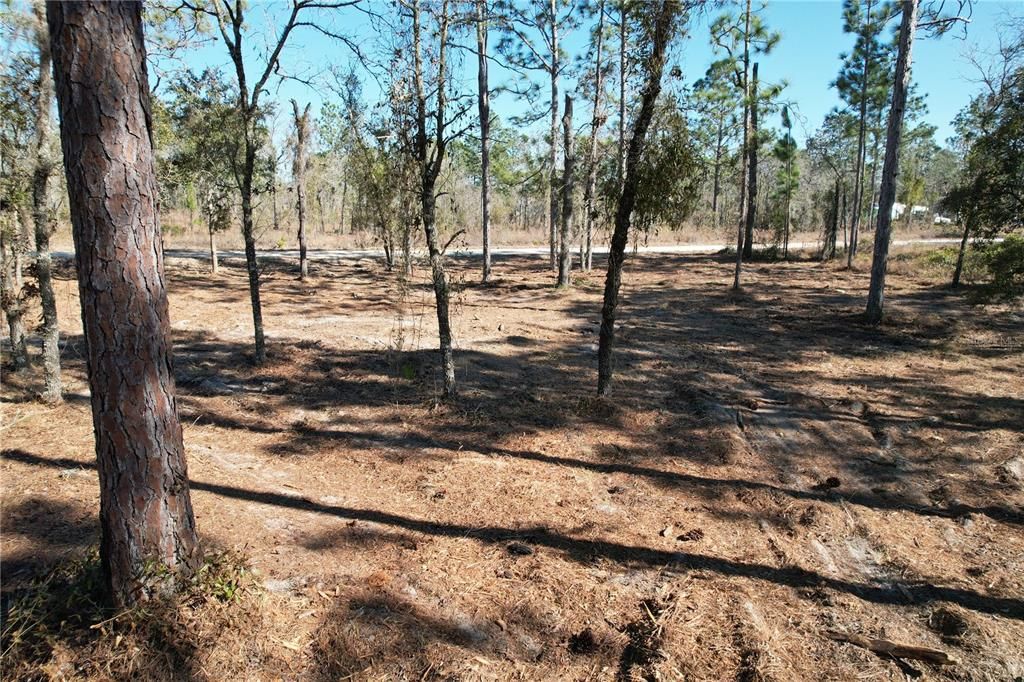 For Sale: $27,995 (1.25 acres)