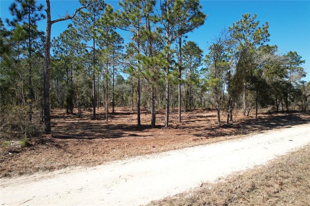 For Sale: $27,995 (1.25 acres)