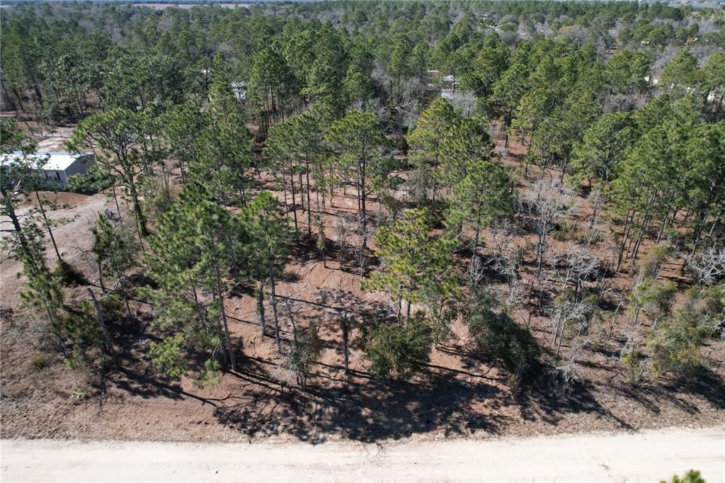 For Sale: $27,995 (1.25 acres)