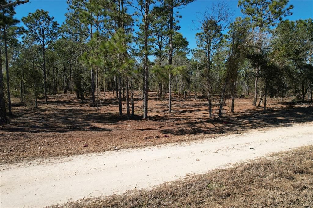 For Sale: $27,995 (1.25 acres)