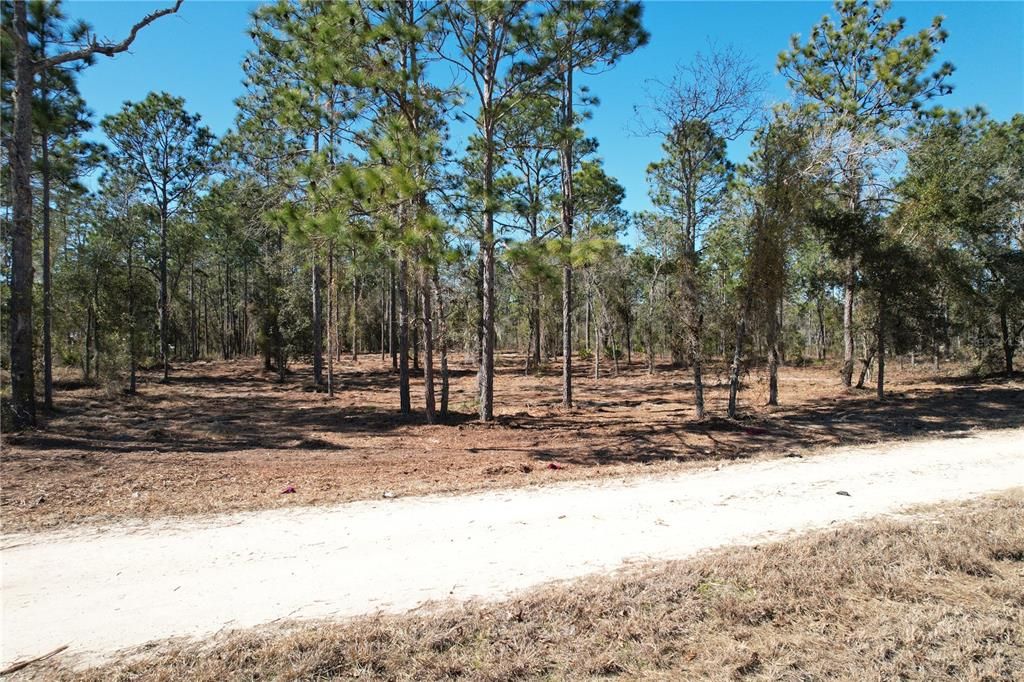 For Sale: $27,995 (1.25 acres)