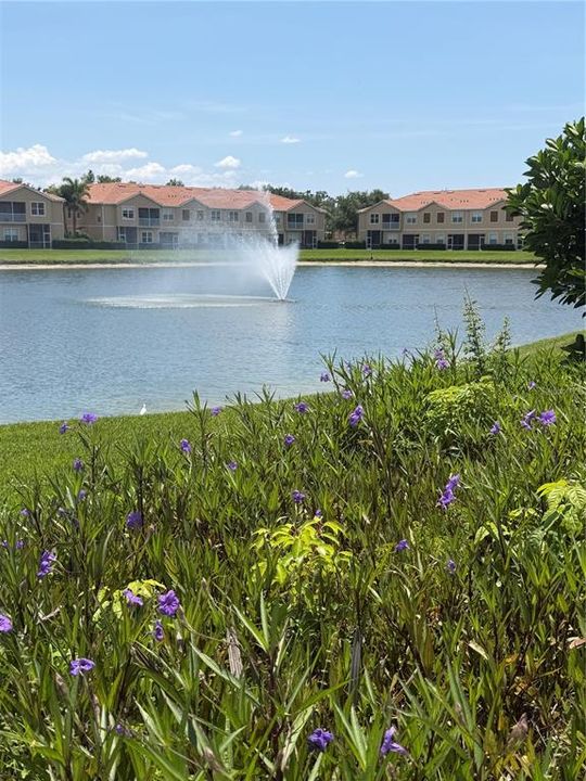 Active With Contract: $2,075 (3 beds, 2 baths, 1210 Square Feet)