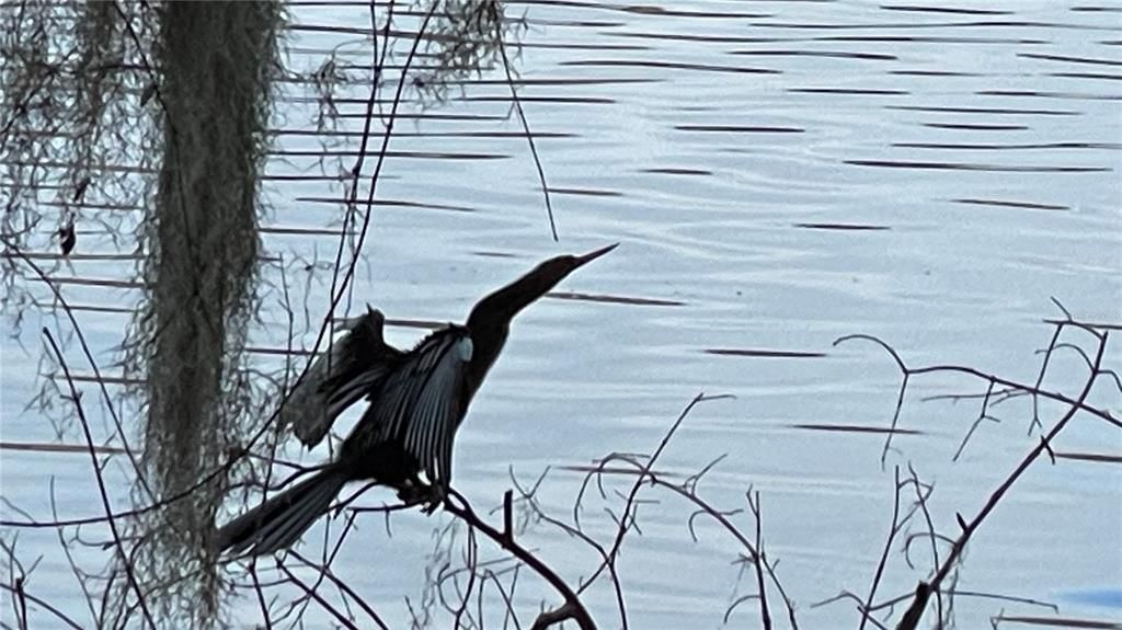 待售: $207,500 (2 贝兹, 2 浴室, 1152 平方英尺)