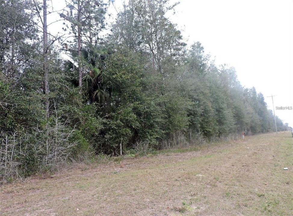 待售: $185,000 (12.51 acres)