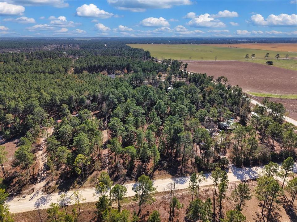 На продажу: $32,500 (1.25 acres)