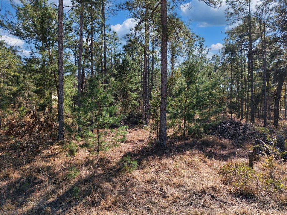 На продажу: $32,500 (1.25 acres)