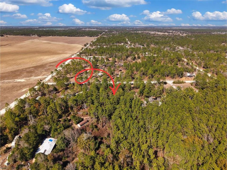 На продажу: $32,500 (1.25 acres)