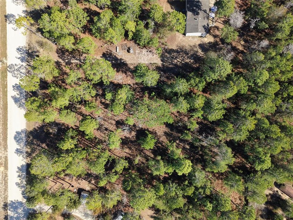 На продажу: $32,500 (1.25 acres)