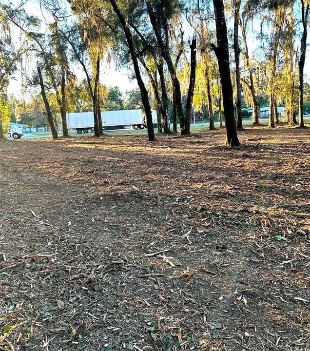 For Sale: $239,000 (1.21 acres)