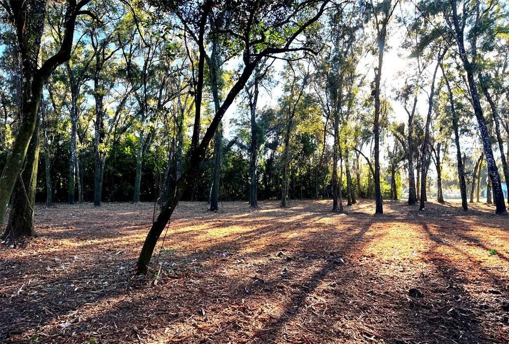 For Sale: $239,000 (1.21 acres)