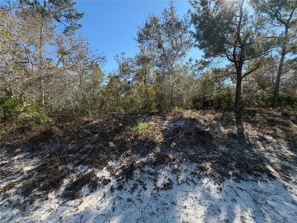 For Sale: $29,900 (0.56 acres)