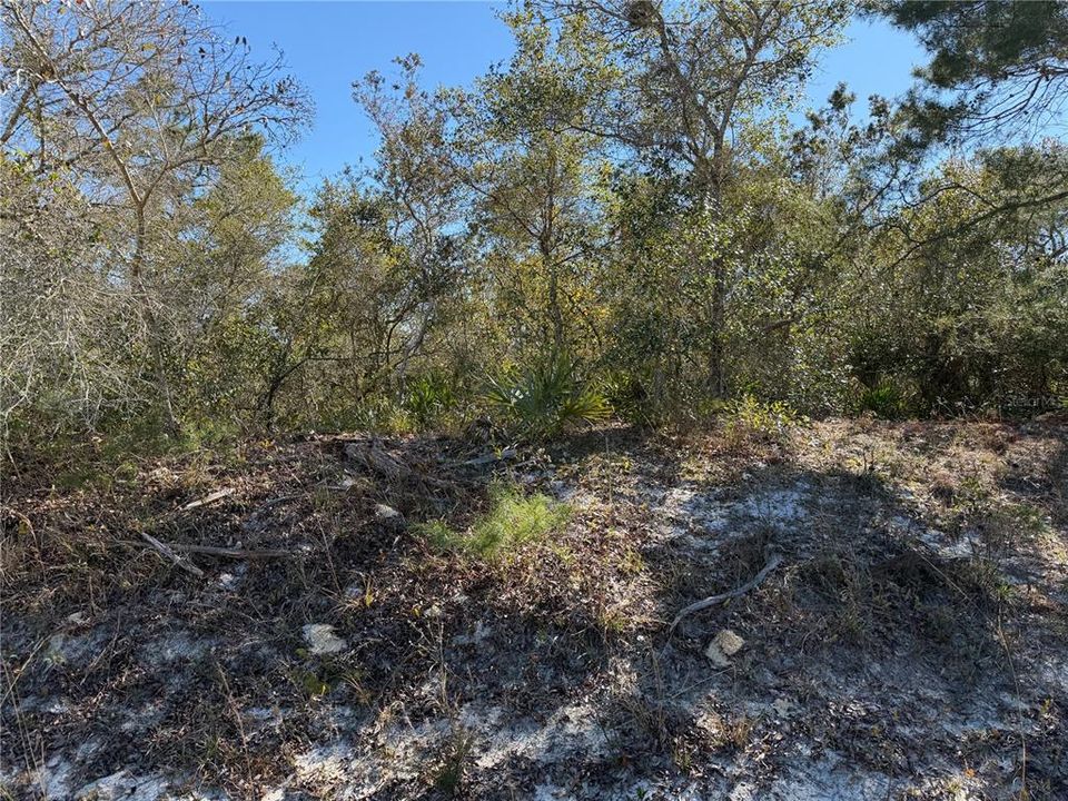 For Sale: $29,900 (0.56 acres)