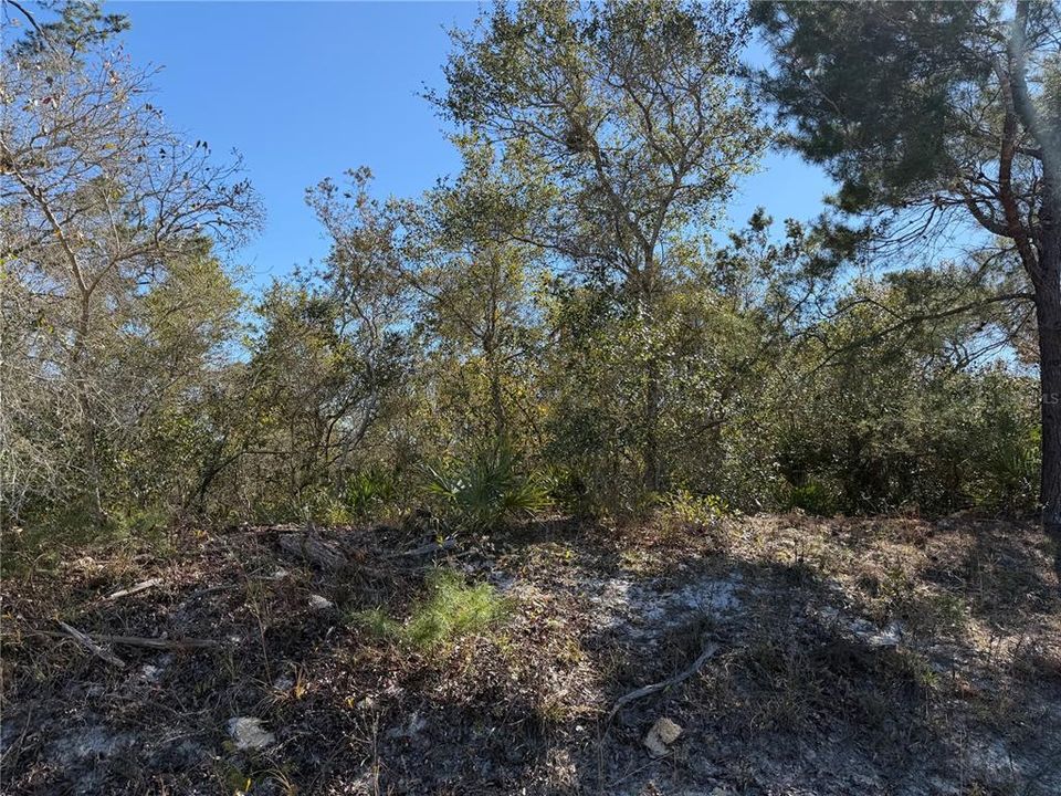 For Sale: $29,900 (0.56 acres)