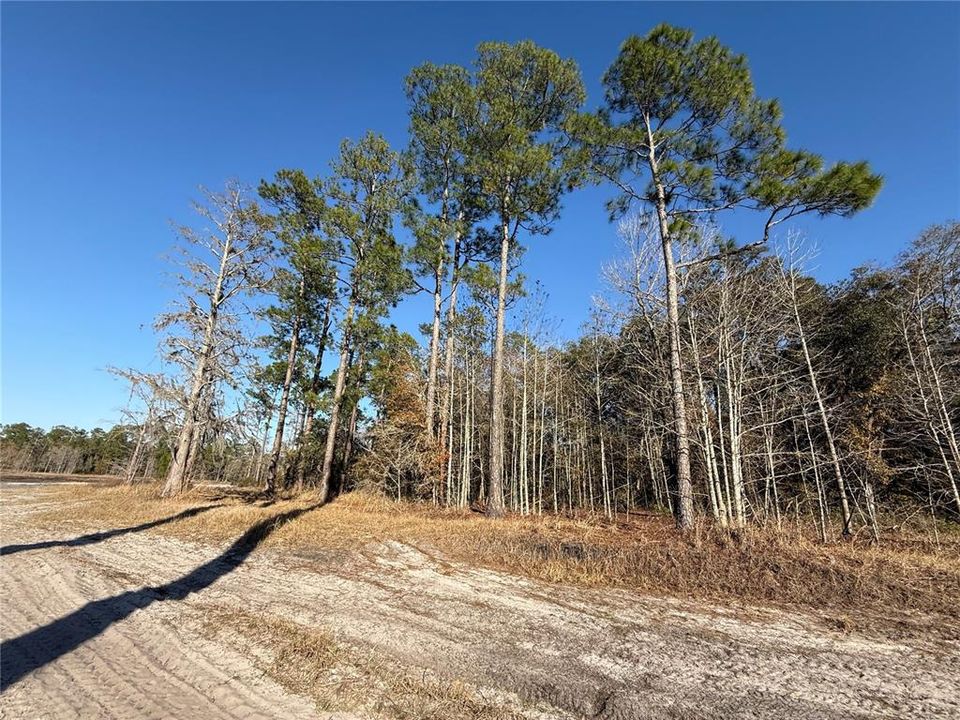 En Venta: $58,700 (2.50 acres)