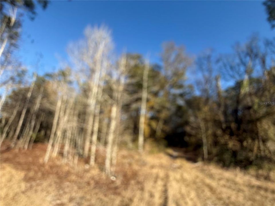 En Venta: $58,700 (2.50 acres)