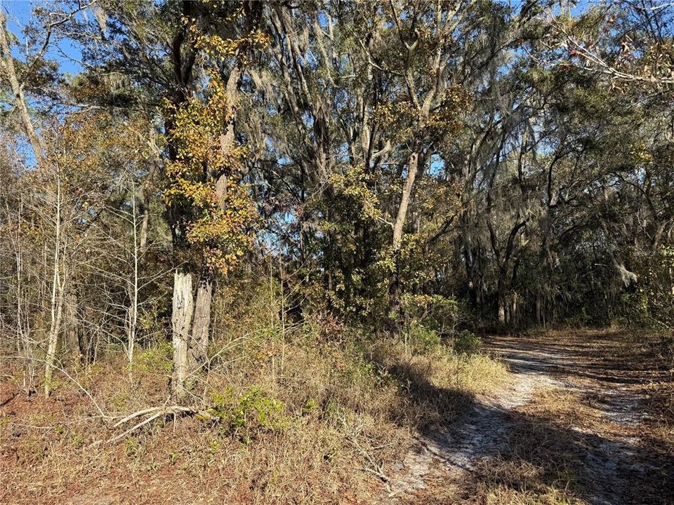 En Venta: $58,700 (2.50 acres)