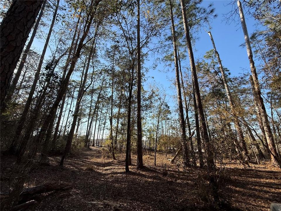 En Venta: $58,700 (2.50 acres)