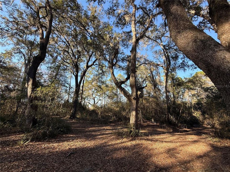 En Venta: $58,700 (2.50 acres)