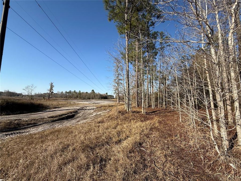 En Venta: $58,700 (2.50 acres)