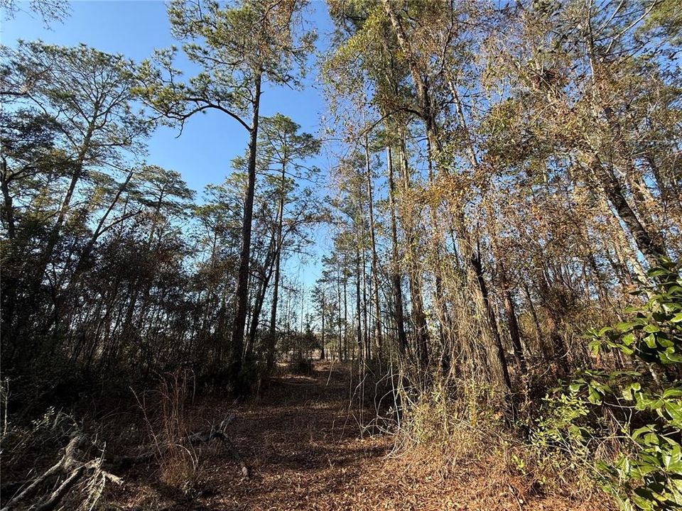 En Venta: $58,700 (2.50 acres)