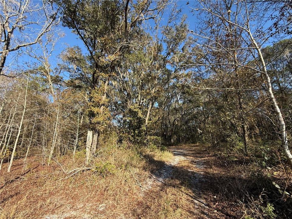 En Venta: $58,700 (2.50 acres)