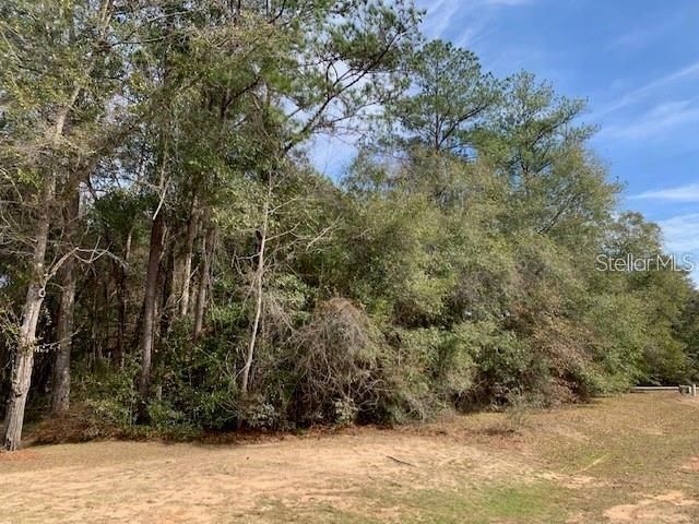 En Venta: $85,000 (1.37 acres)