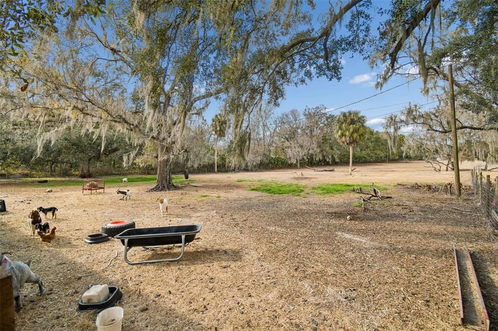 Activo con contrato: $735,000 (3 camas, 3 baños, 2400 Pies cuadrados)