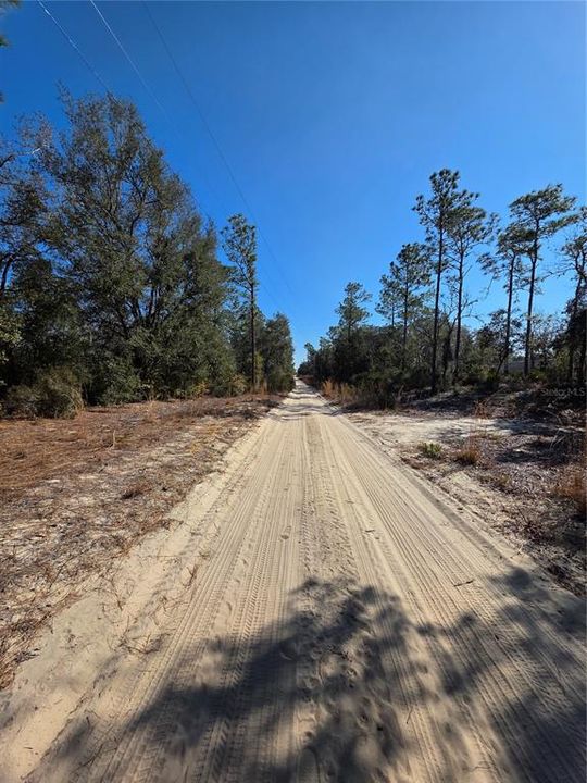 待售: $27,000 (1.25 acres)