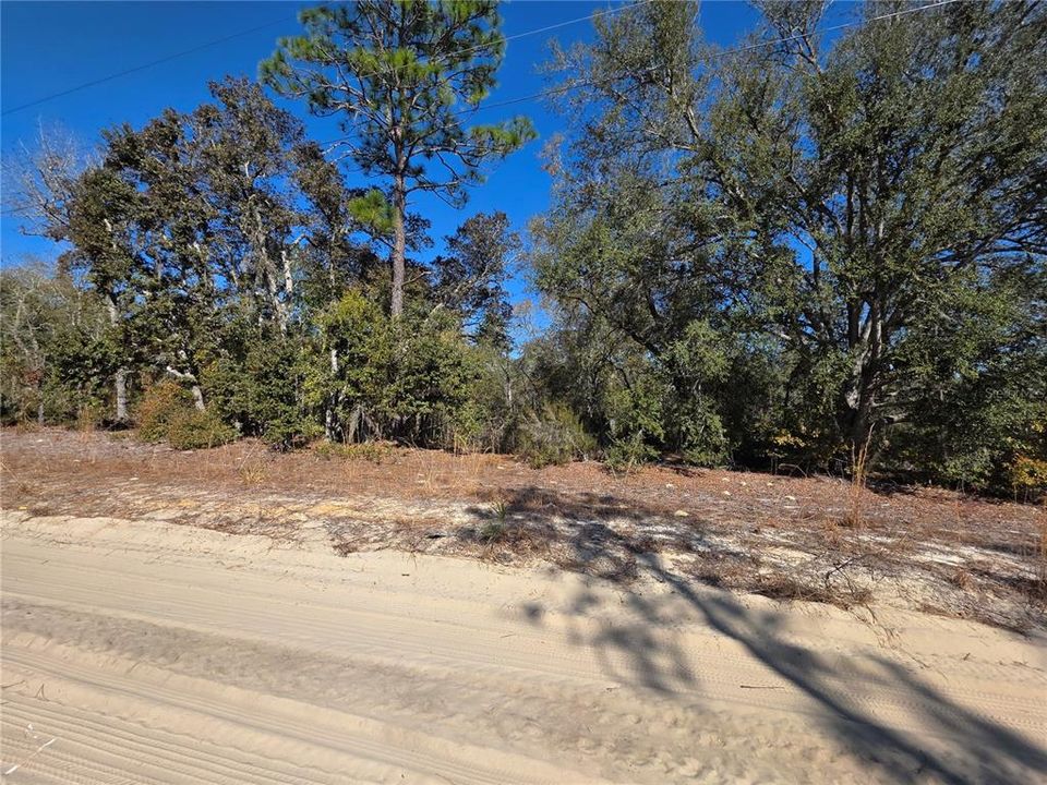 待售: $27,000 (1.25 acres)